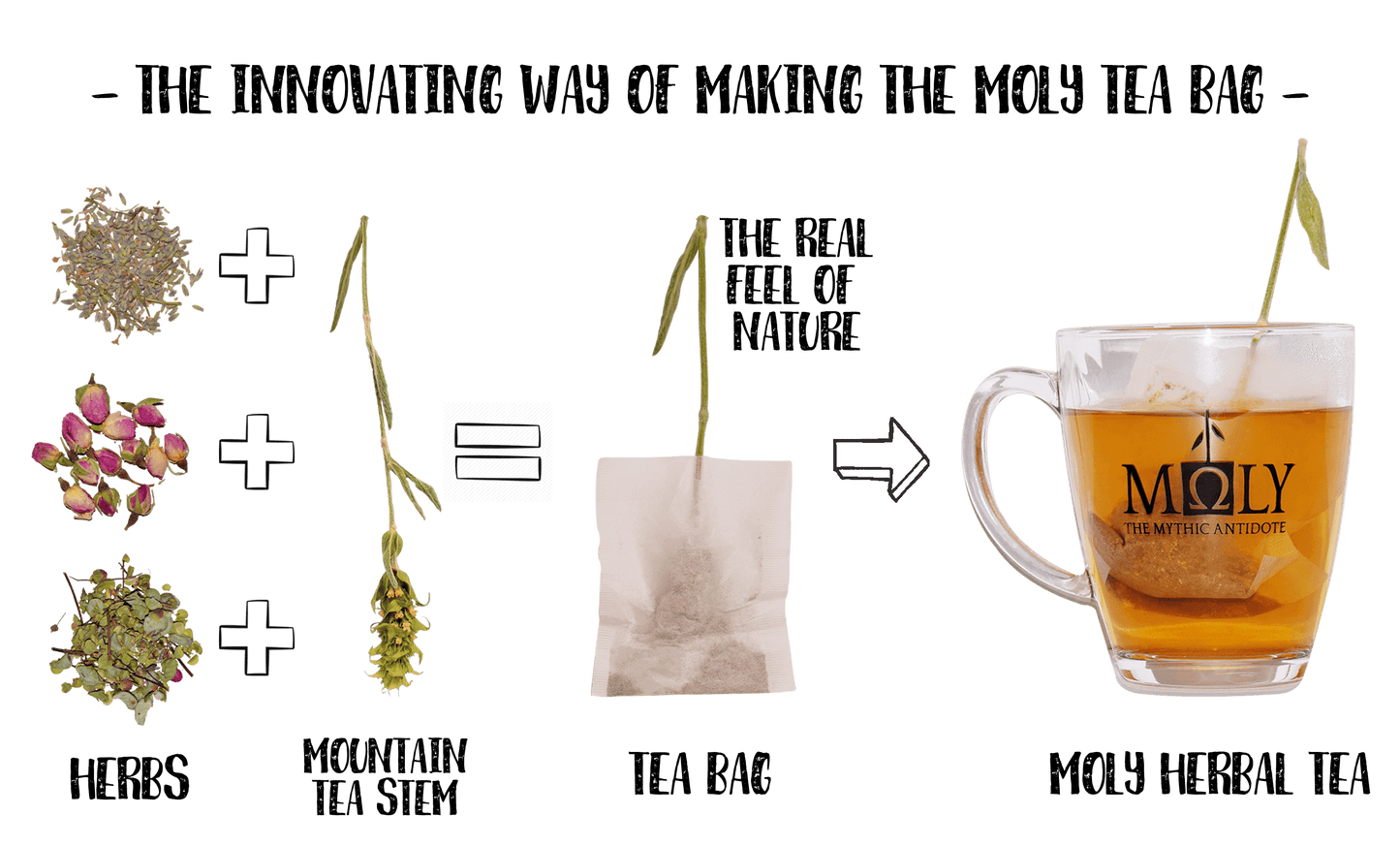 MOLY Ironwort und Zitronenverbene Bio Ho.Re.Ca.