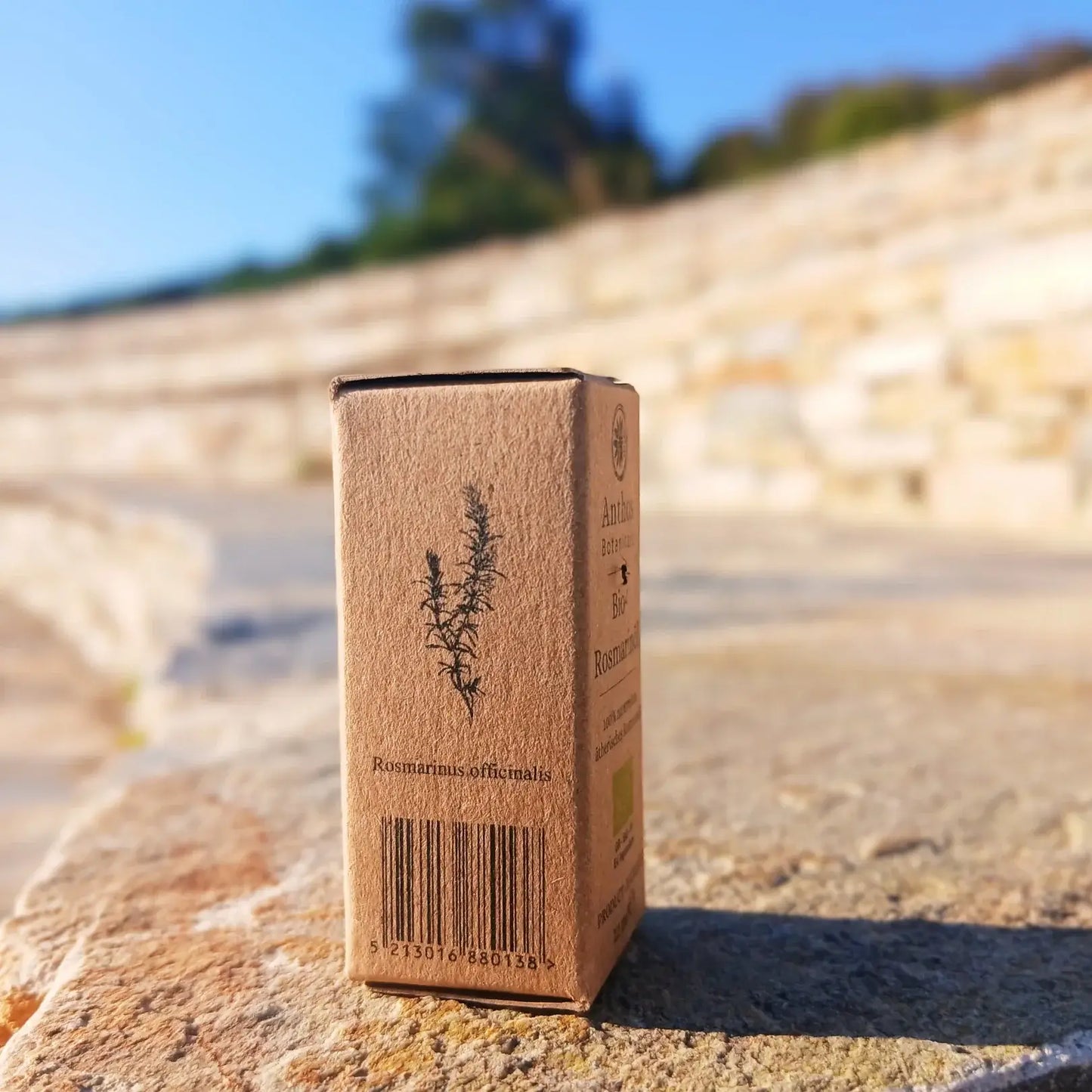 Rosmarinöl BIO 12ml - lebensmittelzertifiziert