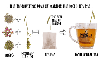 MOLY DETOX BIO - mit Patent aus Hellas