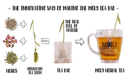 MOLY Silhouette BIO | patentiert